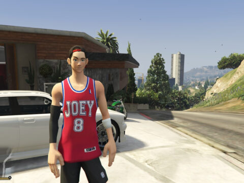 Rebound Joey