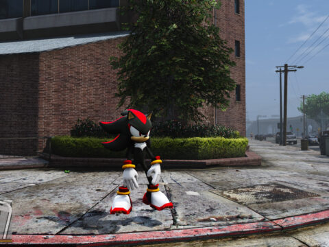 Shadow The Hedgehog (2006) V2.0