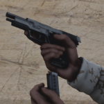Sig Sauer P2204