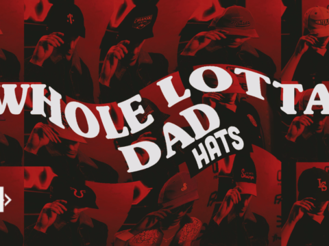 Whole Lotta Dad Hats