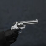 357 Magnum From COD:MW 2019 [Animated] 1.0