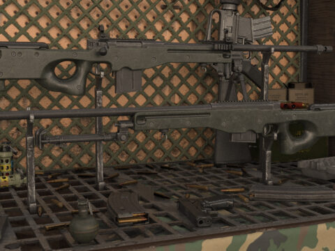 [INS2] Accuracy International AWM V1.0