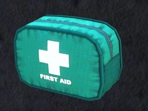 NPC Heals 50% (Just Like Player) 1.3