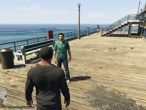 NPC Voice 1.1