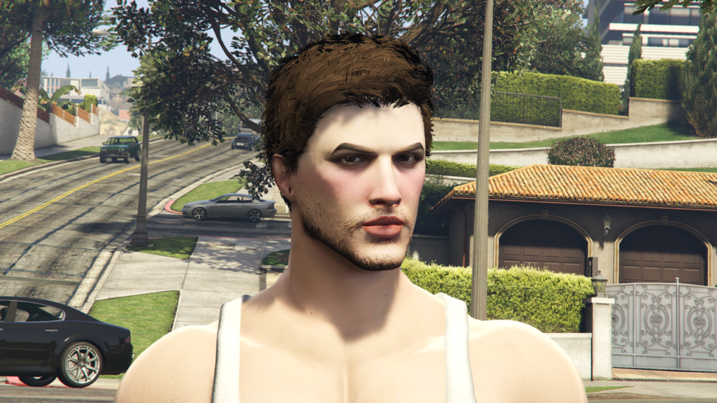 The Parker Hair for MP Male