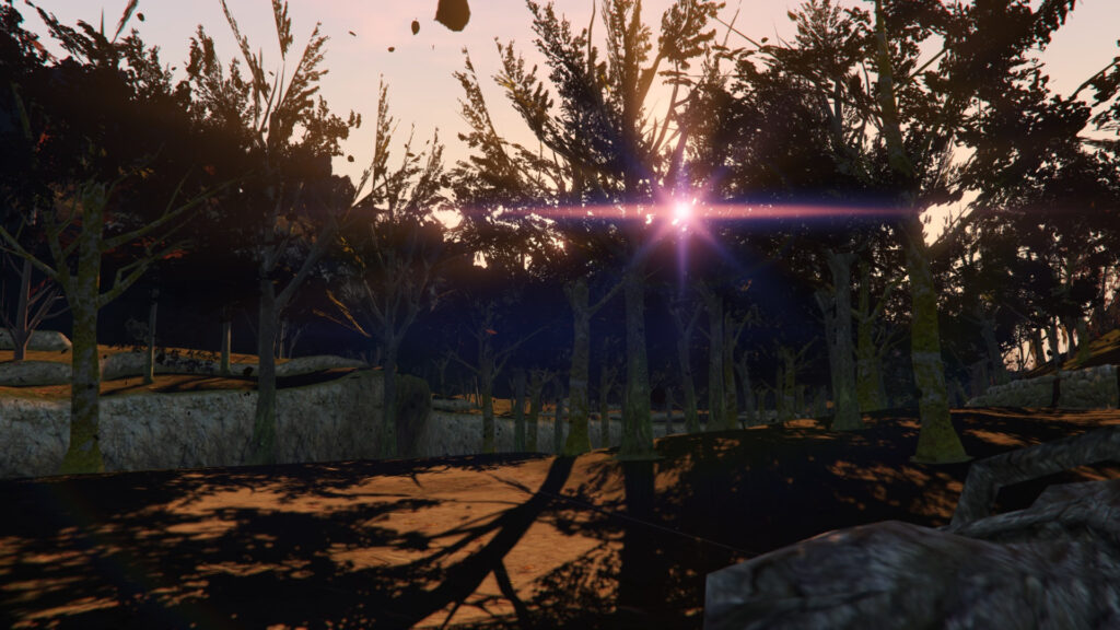 Forest DOA