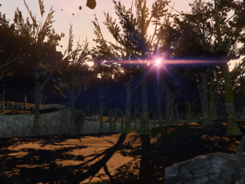 Forest DOA