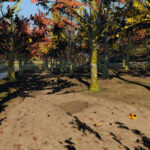 Forest DOA2