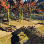 Forest DOA3