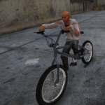 Midget Chigoon2