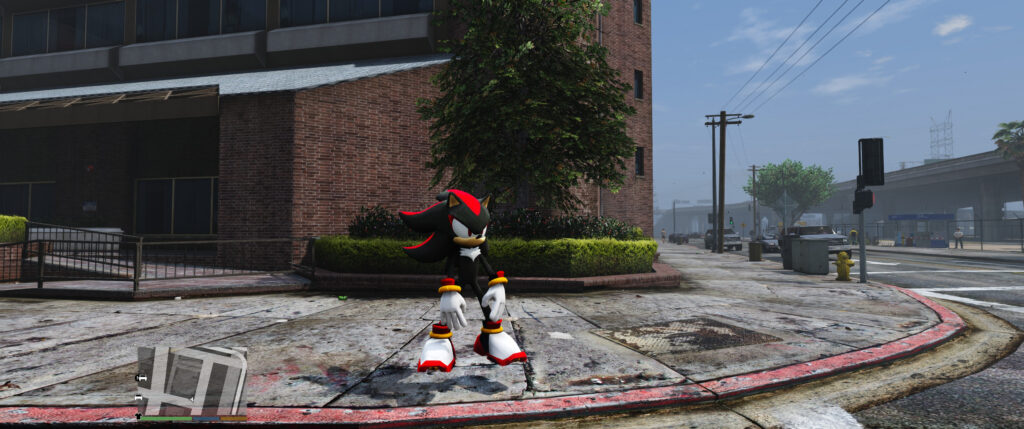 Shadow The Hedgehog (2006) V2.0