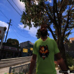 Franklin's 12 Luxury T-Shirt Pack V1.0