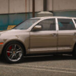 2008 Pfister Cayenne4