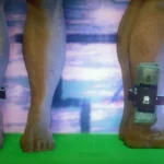 Ankle Bracelet Set for MP Male