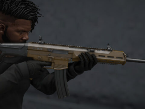 Bushmaster ACR From COD MW 3 1.0