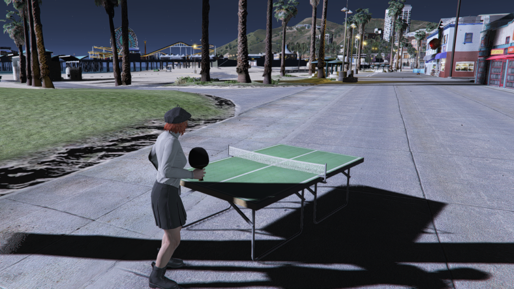 Table Tennis Ping Pong