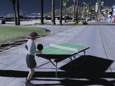Table Tennis Ping Pong