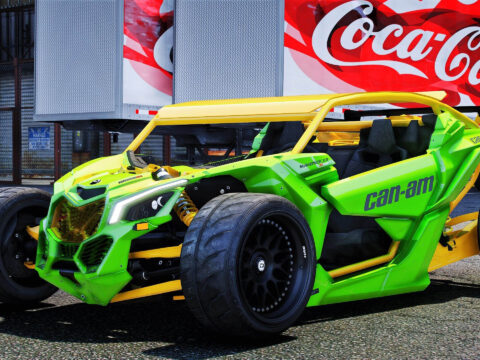 Custom Can Am X3