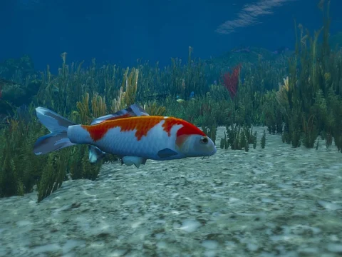 Fish mods replace 0.1