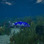 Fish mods replace 0.12