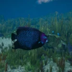 Fish mods replace 0.14