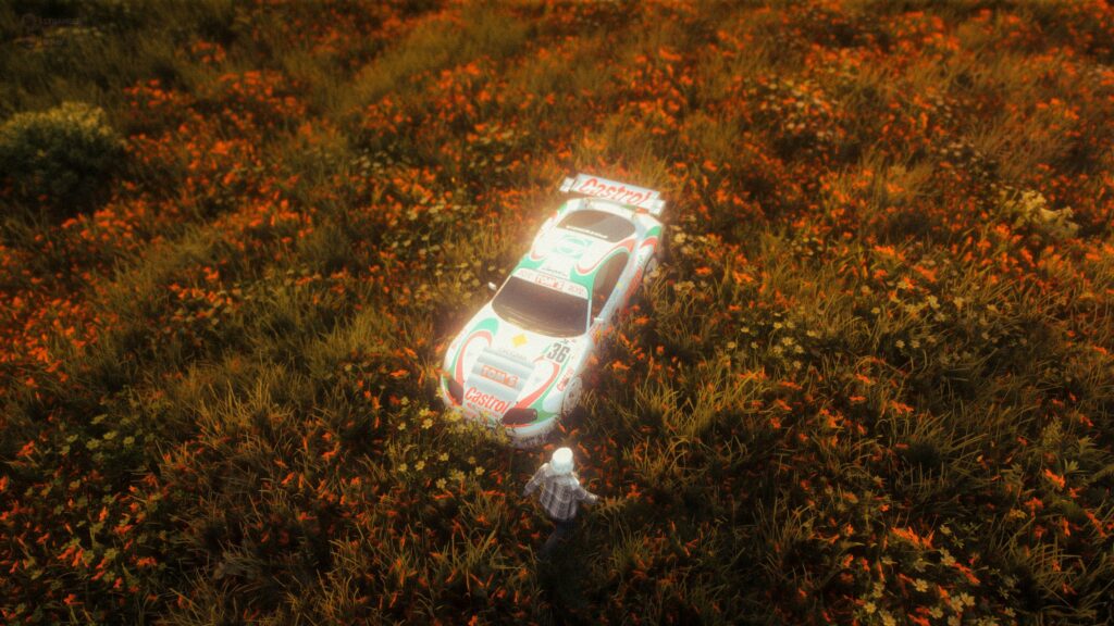 Flower Fields (XML/menyoo)