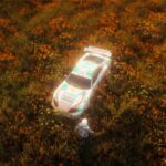 Flower Fields (XML/menyoo)
