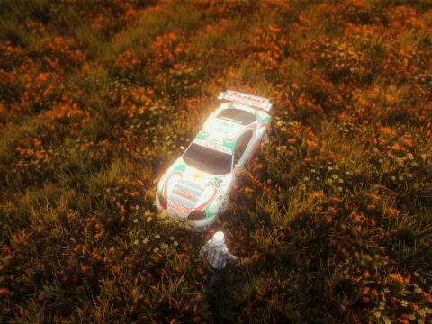 Flower Fields (XML/menyoo)