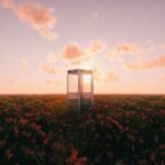 Flower Fields (XML/menyoo)