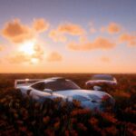 Flower Fields (XML/menyoo)