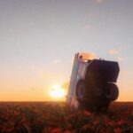Flower Fields (XML/menyoo)