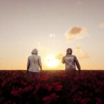 Flower Fields (XML/menyoo)