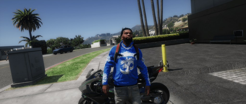 Hellstar Hoodies For Frank