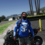 Hellstar Hoodies For Frank