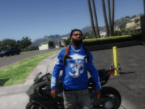Hellstar Hoodies For Frank