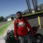 Hellstar Hoodies For Frank2