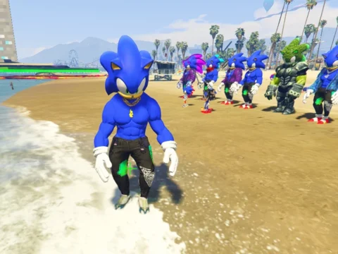Sonic Rizz Evolution