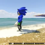 Sonic Rizz Evolution2