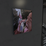 canvas pack 1 1.04