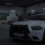 2014 Dodge Charger PPV2