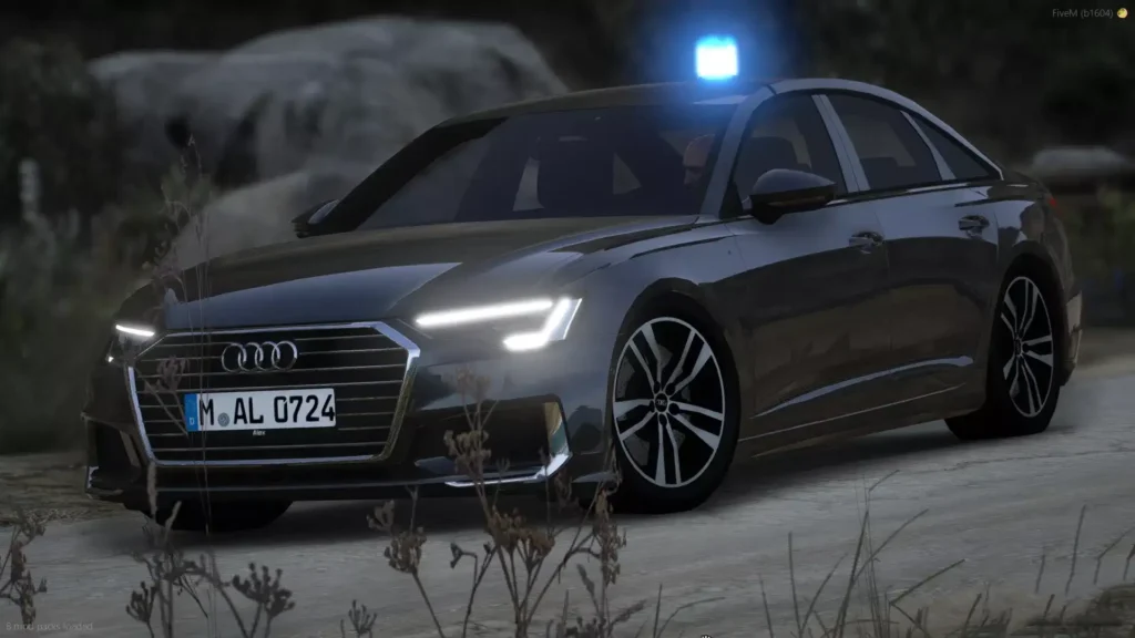 Audi A6 ZPKW
