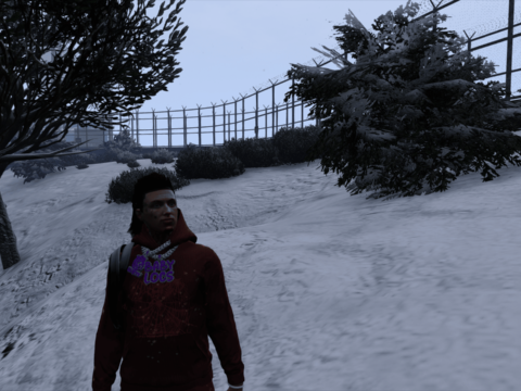 Baby Locs chain/necklace aka "Grape Street Crips" for MP Male character 1.1