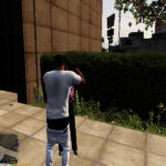 Hug & Kiss NPC Ney Female Script V1.0