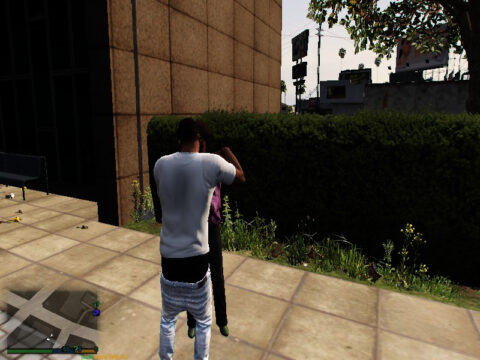 Hug & Kiss NPC Ney Female Script V1.0