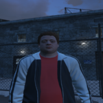 Remove emblems to fix the problem 1.02