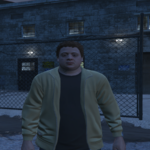 Remove emblems to fix the problem 1.03