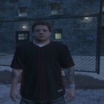 Remove emblems to fix the problem 1.04