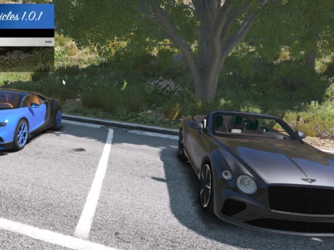 Save Vehicle