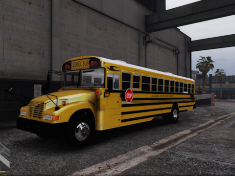 2005 Blue Bird Vision Addon ELS
