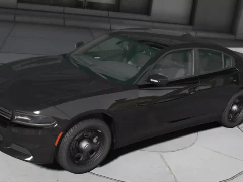 2018 Dodge Charger Unmarked